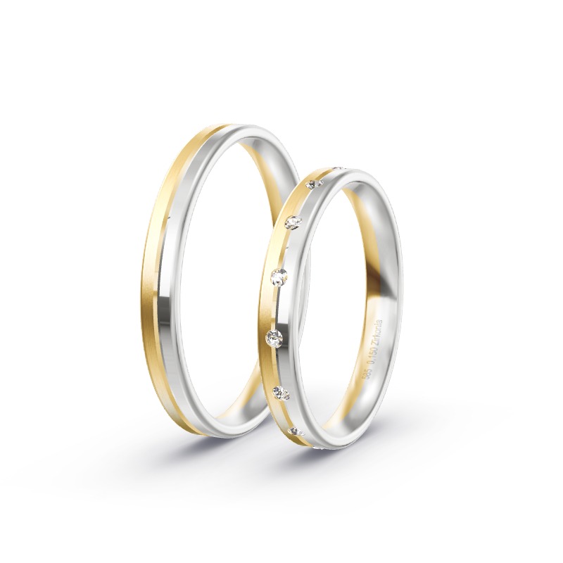 2 Eheringe BiColor - Modell 2291 Albaching