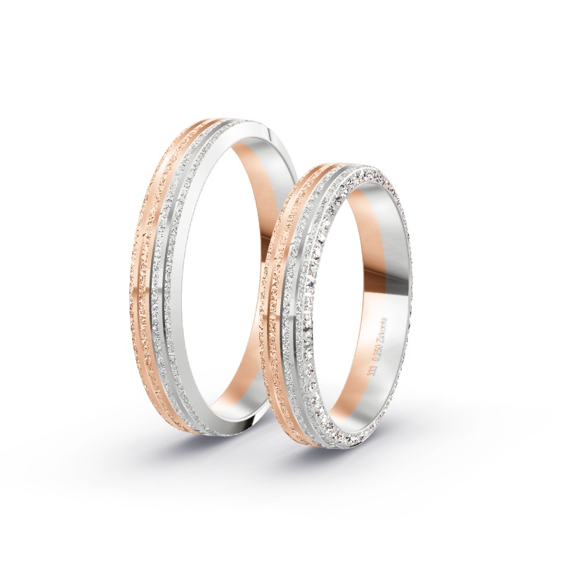 2 Eheringe / Partnerringe BiColor - Modell 2252 Obing