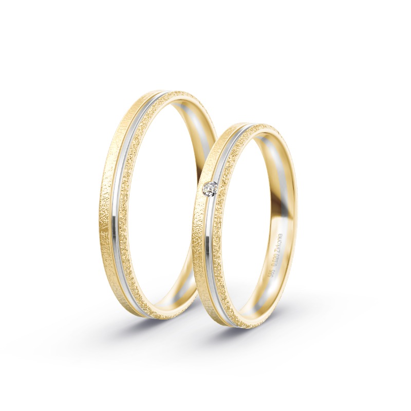 2 Eheringe BiColor - Modell 2289 Ahrensburg