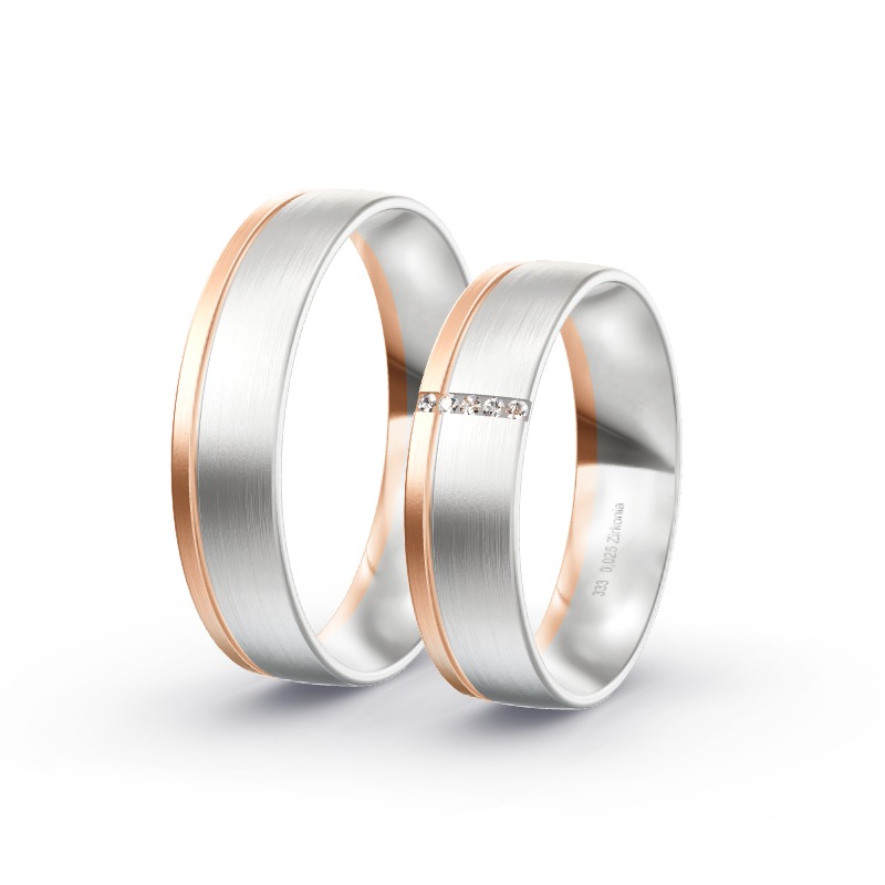 2 Eheringe / Partnerringe BiColor Modell 2027 Alpbach
