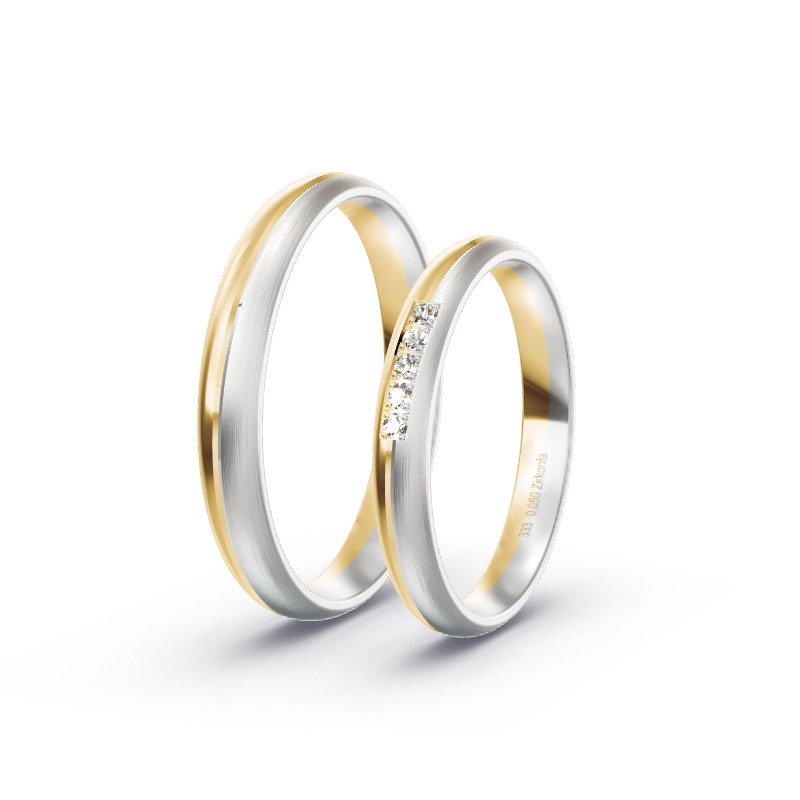 2 Eheringe / Partnerringe BiColor - Modell 2133 Andechs