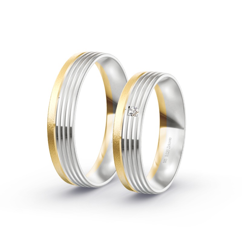 2 Eheringe BiColor - Modell 2294 Kaltenkirchen