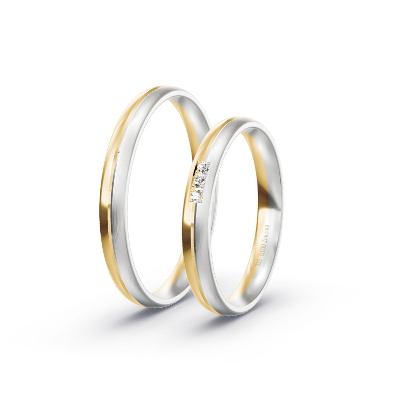 2 Eheringe / Partnerringe BiColor - Modell 2131 Ismaning