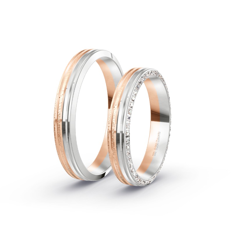 2 Eheringe / Partnerringe BiColor - Modell 2253 Donauwörth