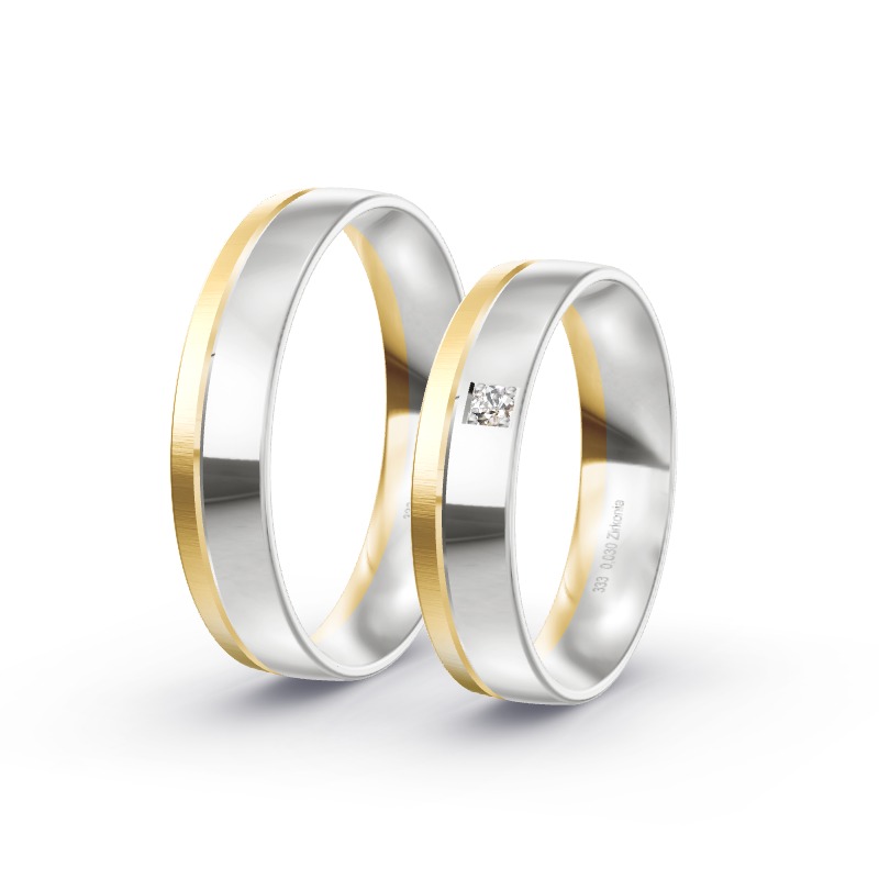 2 Eheringe / Partnerringe BiColor - Modell 2155 Delmenhorst