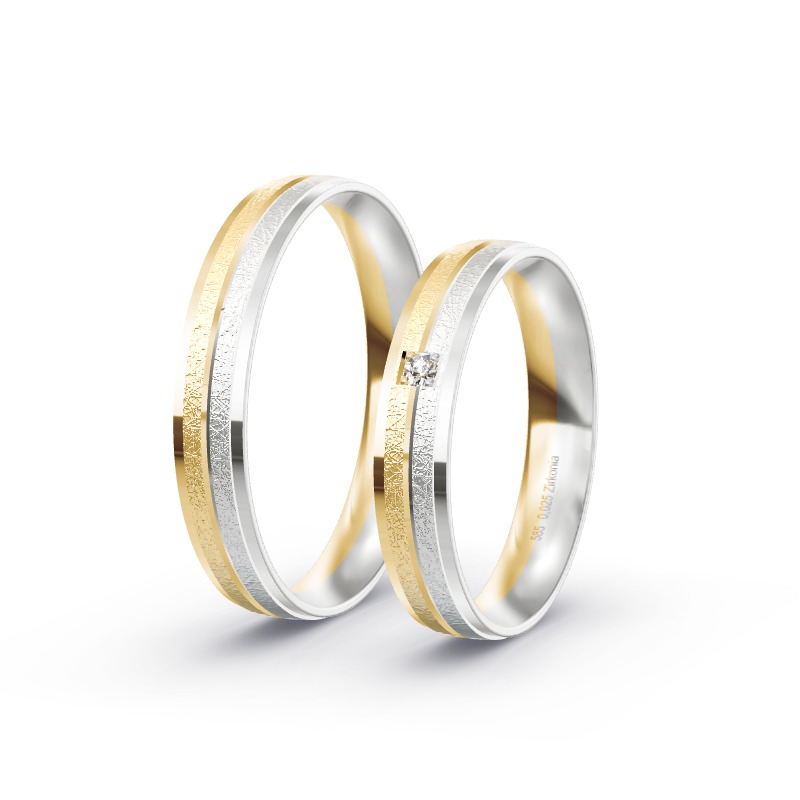 2 Eheringe BiColor - Modell 2283 Sangerhausen