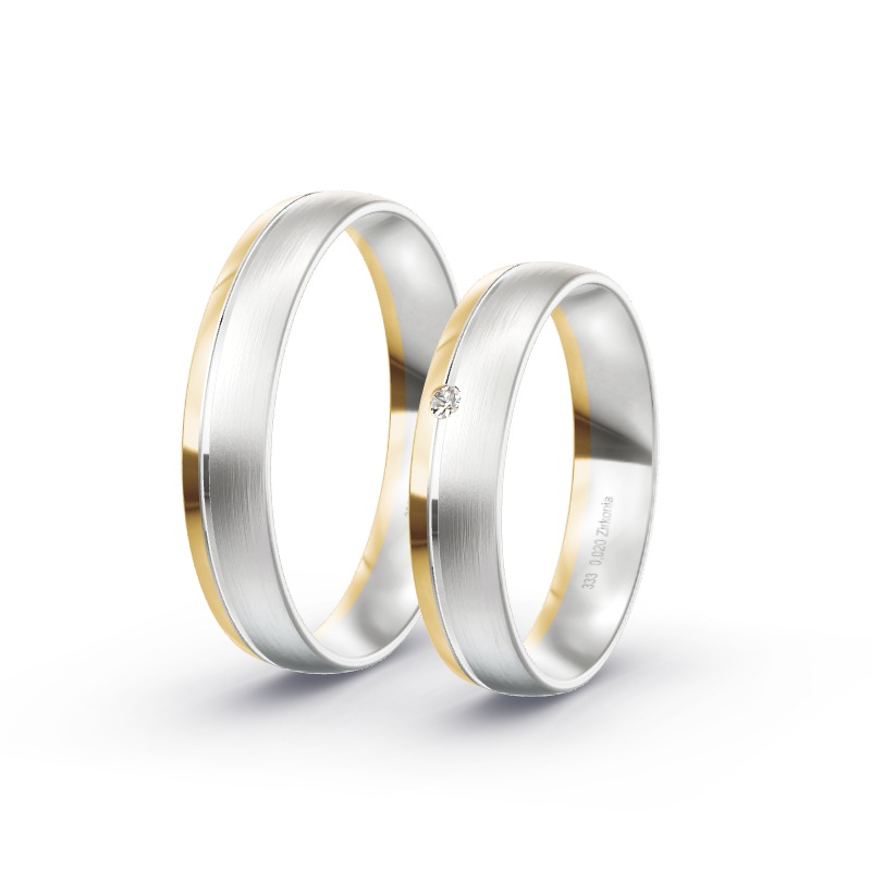 2 Eheringe / Partnerringe BiColor Modell 1864 Ebeleben