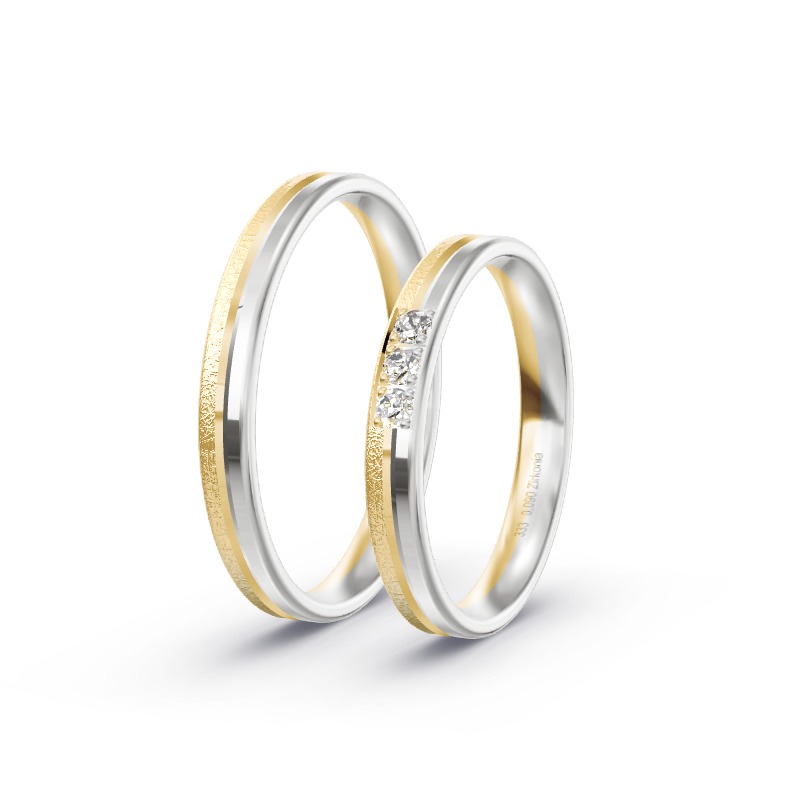 2 Eheringe / Partnerringe BiColor - Modell 2316 Aschau