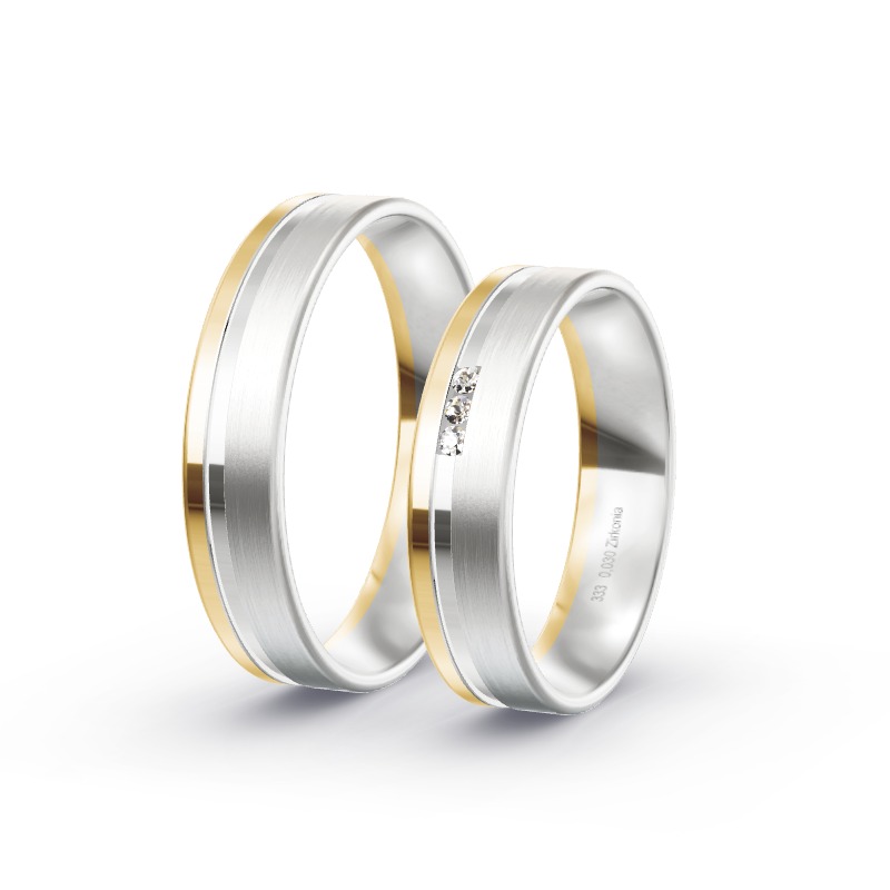 2 Eheringe / Partnerringe BiColor - Modell 1722 Weihmichl