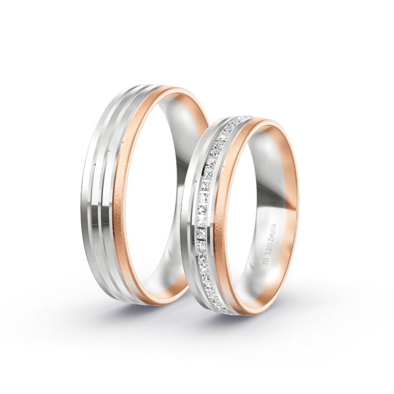 2 Eheringe / Partnerringe BiColor - Modell 2446 Eisenberg