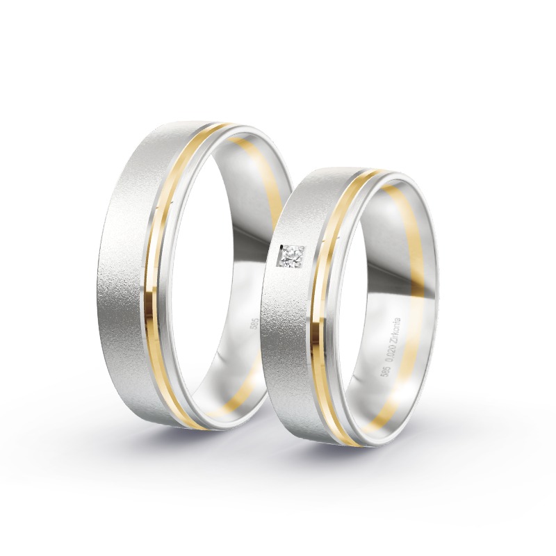 2 Eheringe BiColor - Modell 2287 Hoya